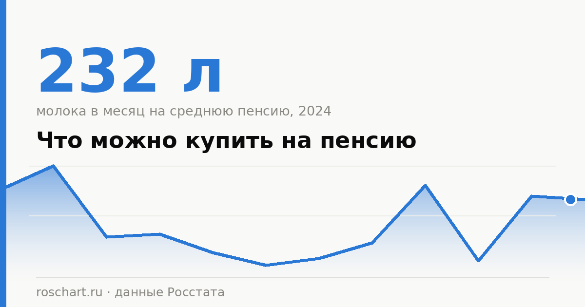 Что можно купить на пенсию: сколько продуктов и вещей даёт средняя пенсия по данным Росстата